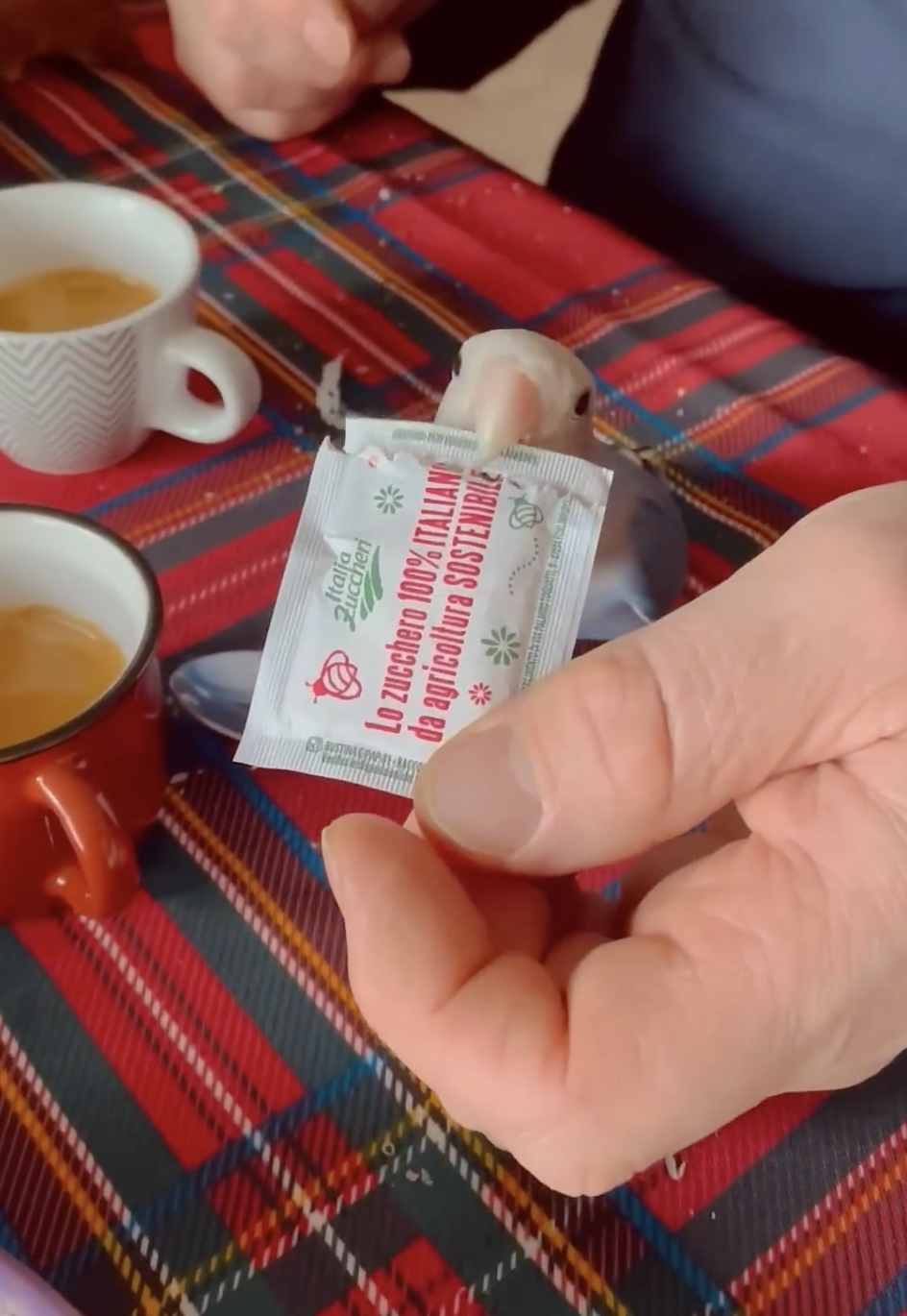 奴才：好棒棒啊