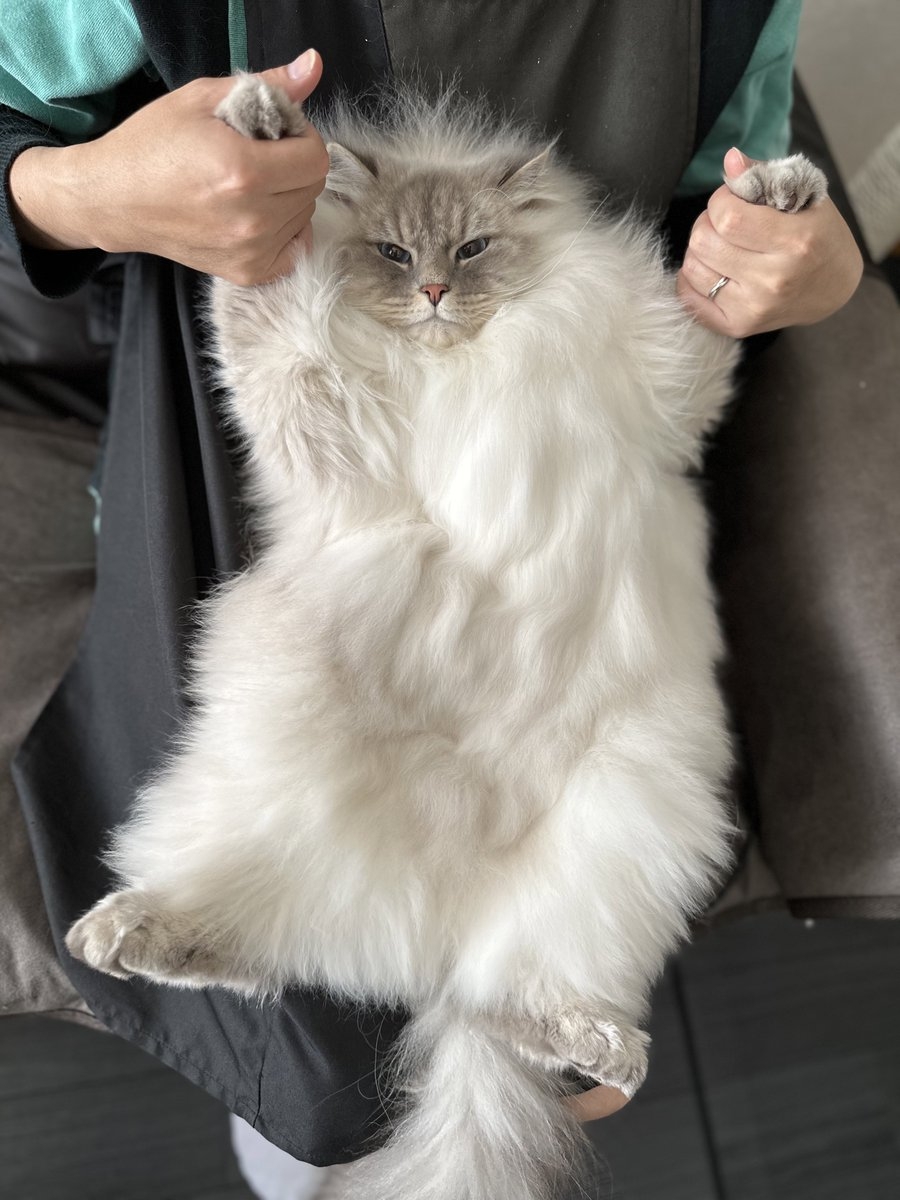 奴才：絕對不是你的問題，是箱子太小了