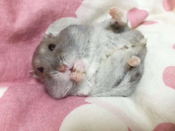 奴才：原來是這樣喔