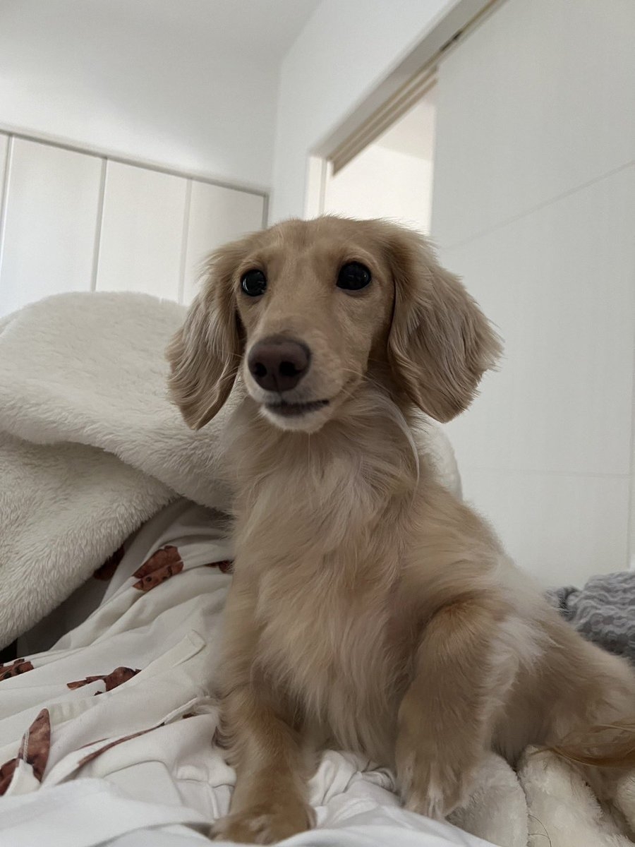 奴才：你就忍一忍啦