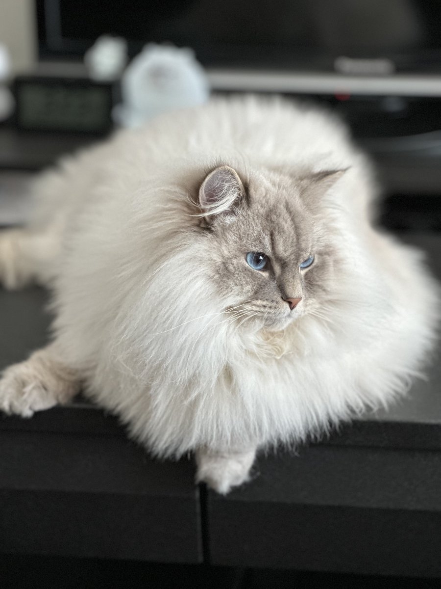 奴才：這些都是回憶