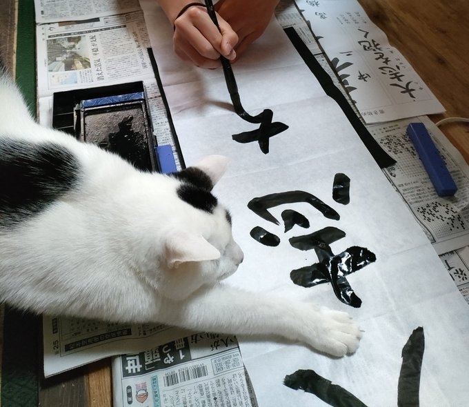 小奴才：真拿你們沒辦法