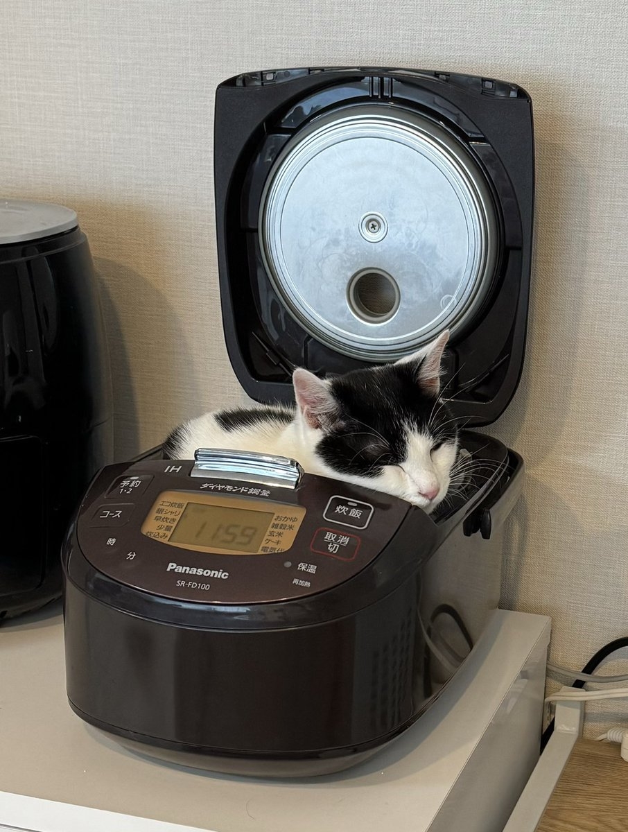 奴才：額...太霸道了吧