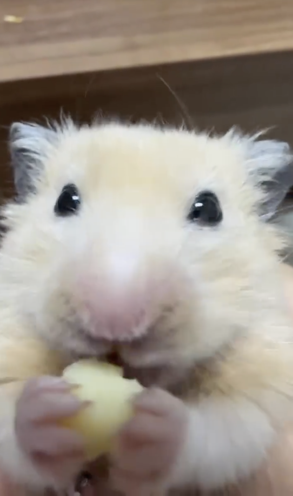 奴才：別擔心，你沒事啦