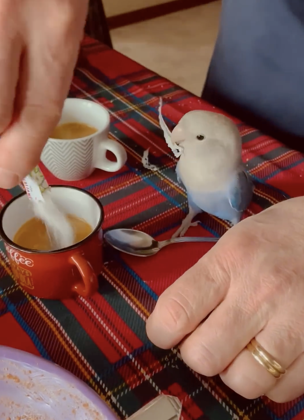 奴才：我也算是體驗了一把貝伺候的感覺啊