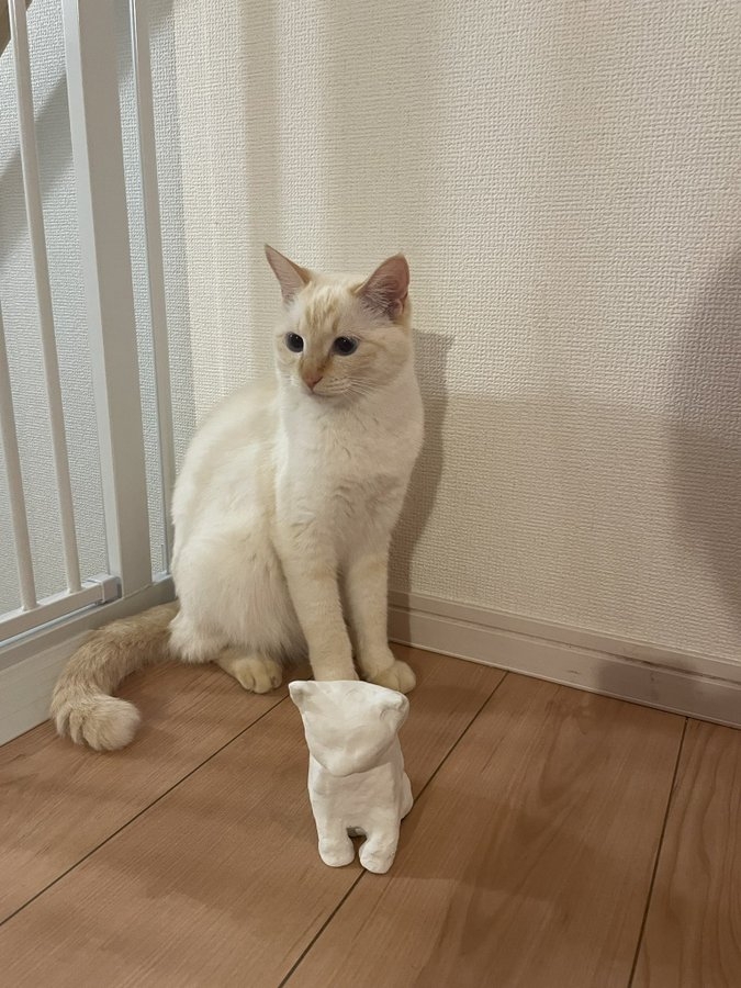 奴才:你小時候的模樣啊