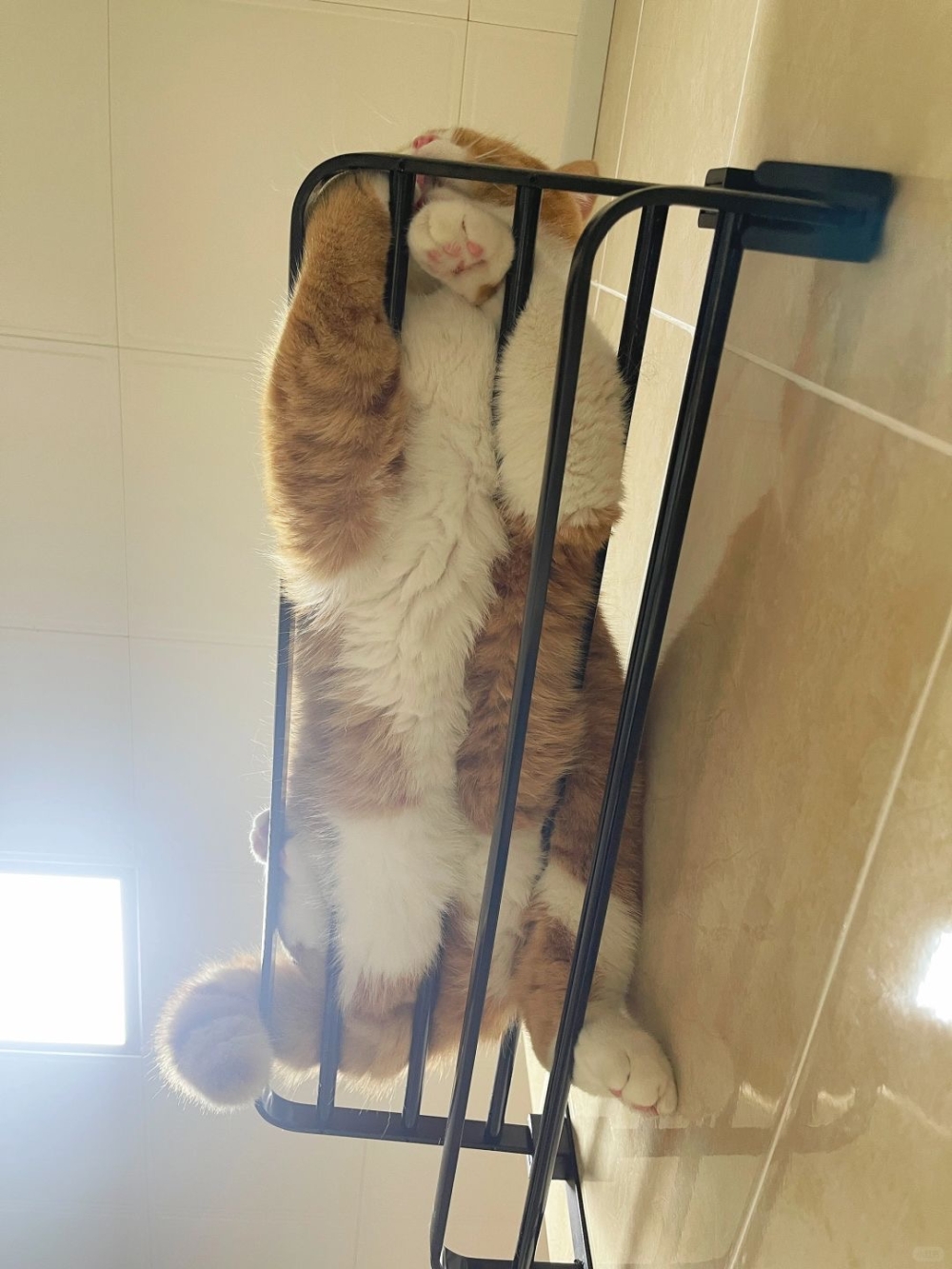 奴才：好吧，我快好了