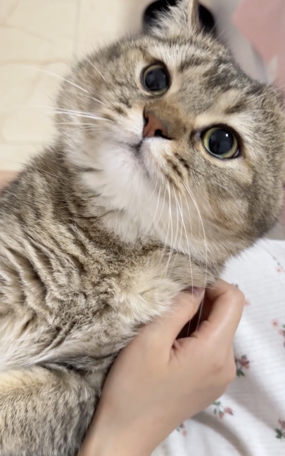 奴才：但是很受用啊