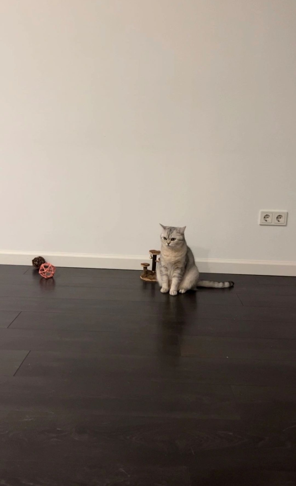 奴才：這一次真的是失誤啦