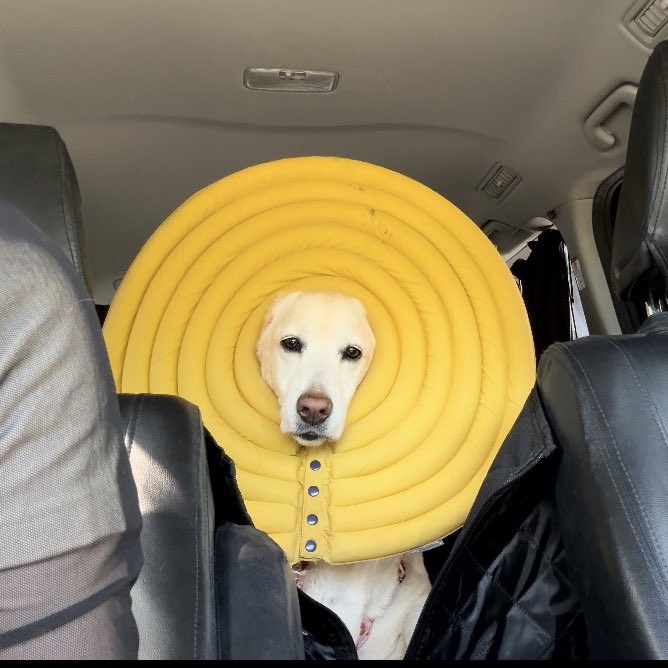 奴才：就是讓你練練膽量啦