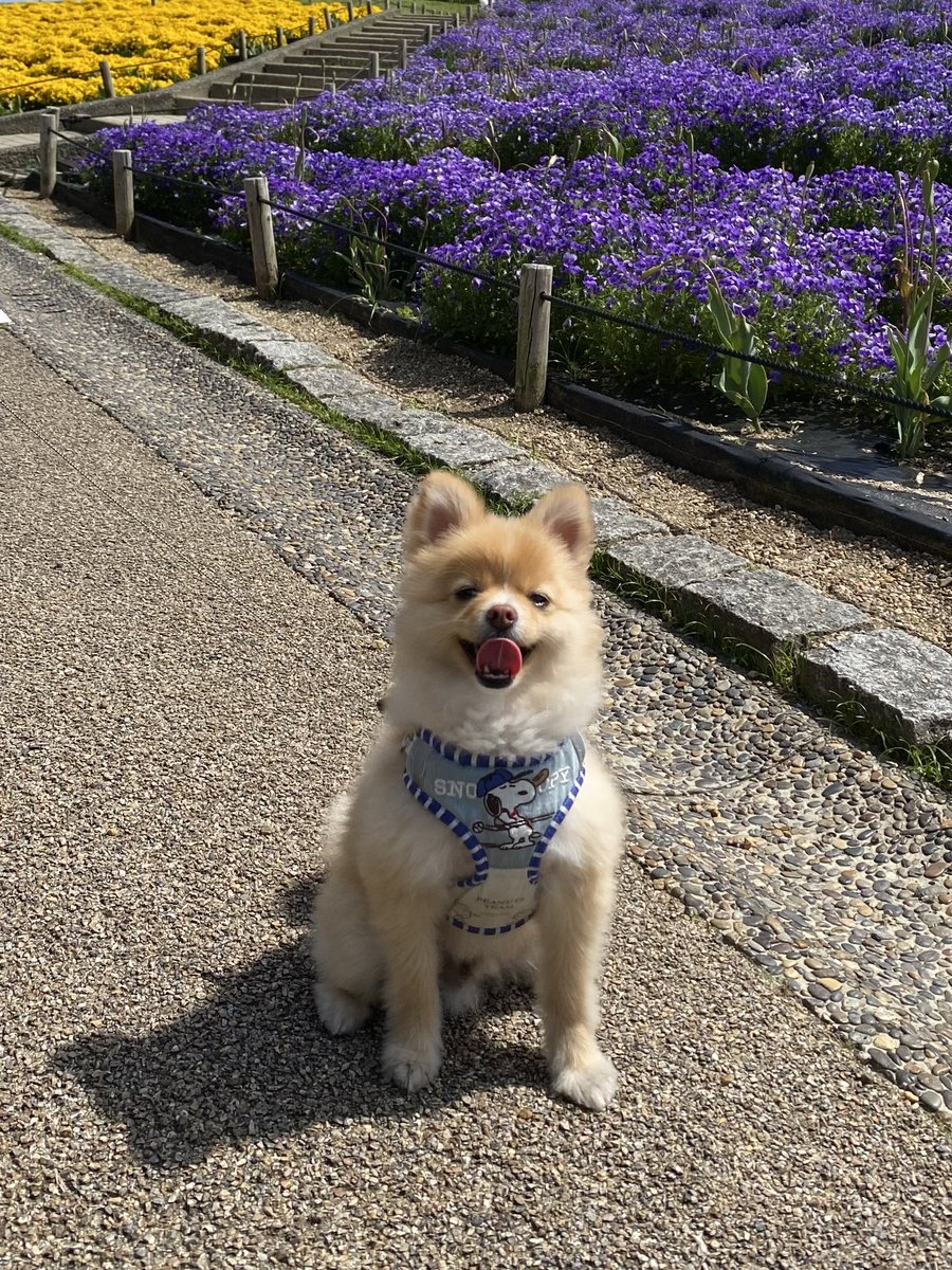 奴才：那你也不能一動不動的啊