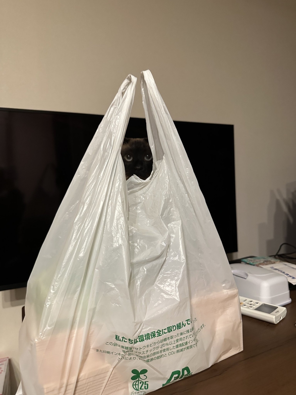 奴才：你在哪裡啦