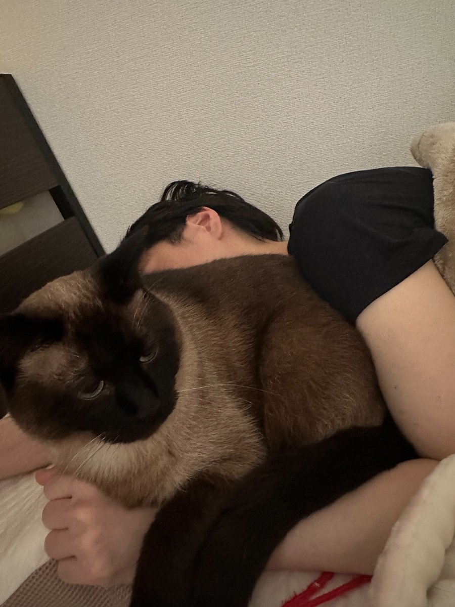 奴才：是你太黑了