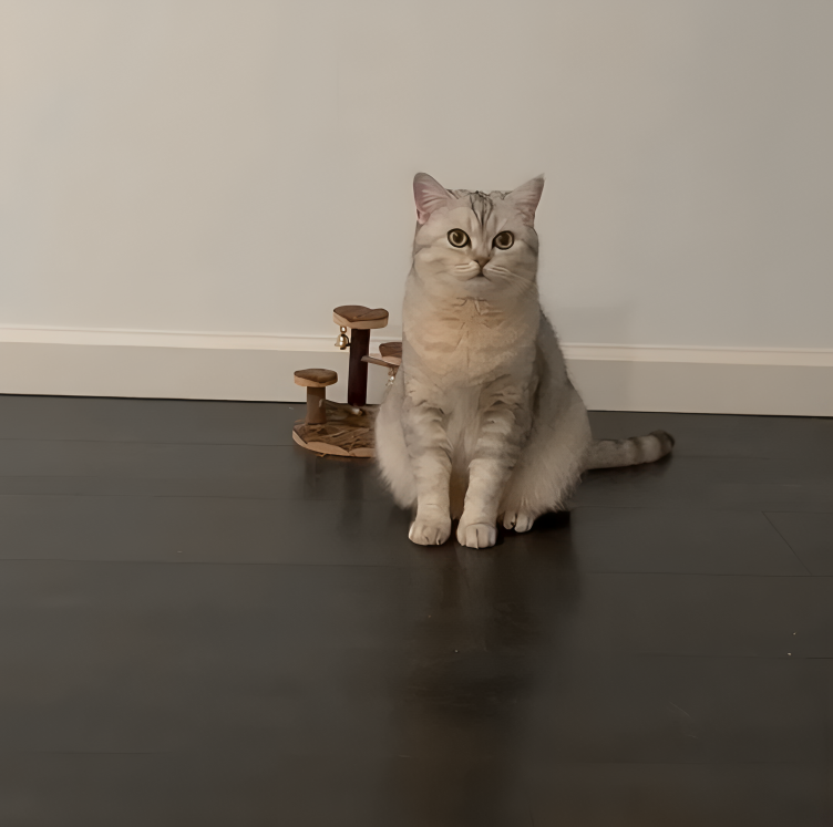 奴才：現在是哄不好了嗎？