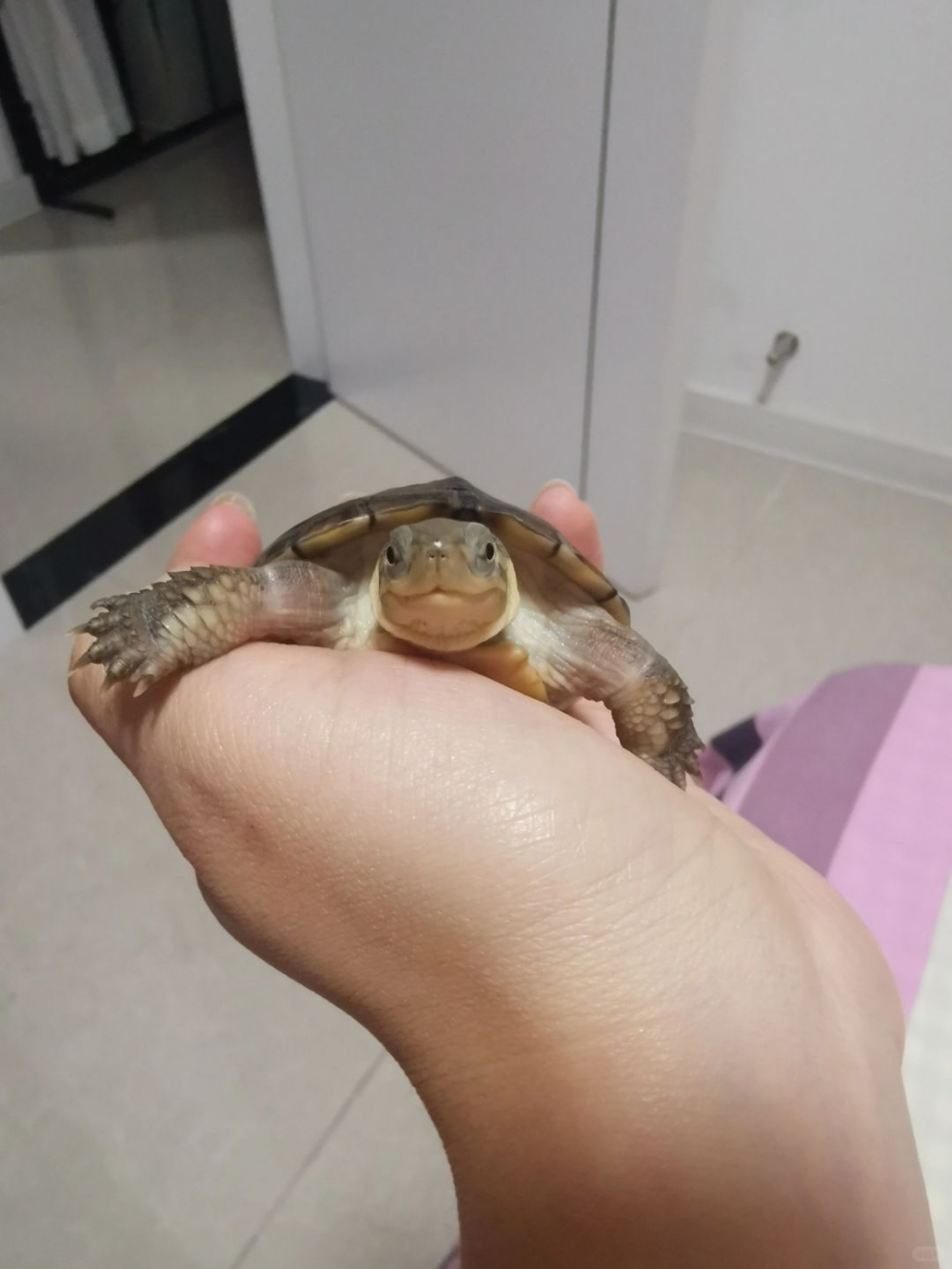 奴才:但這個方法真的挺不錯的啊XD