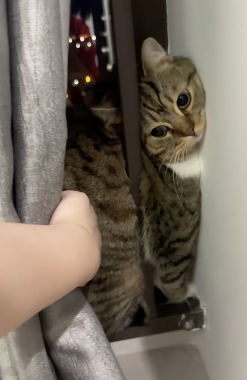 奴才：出來社交一下啦