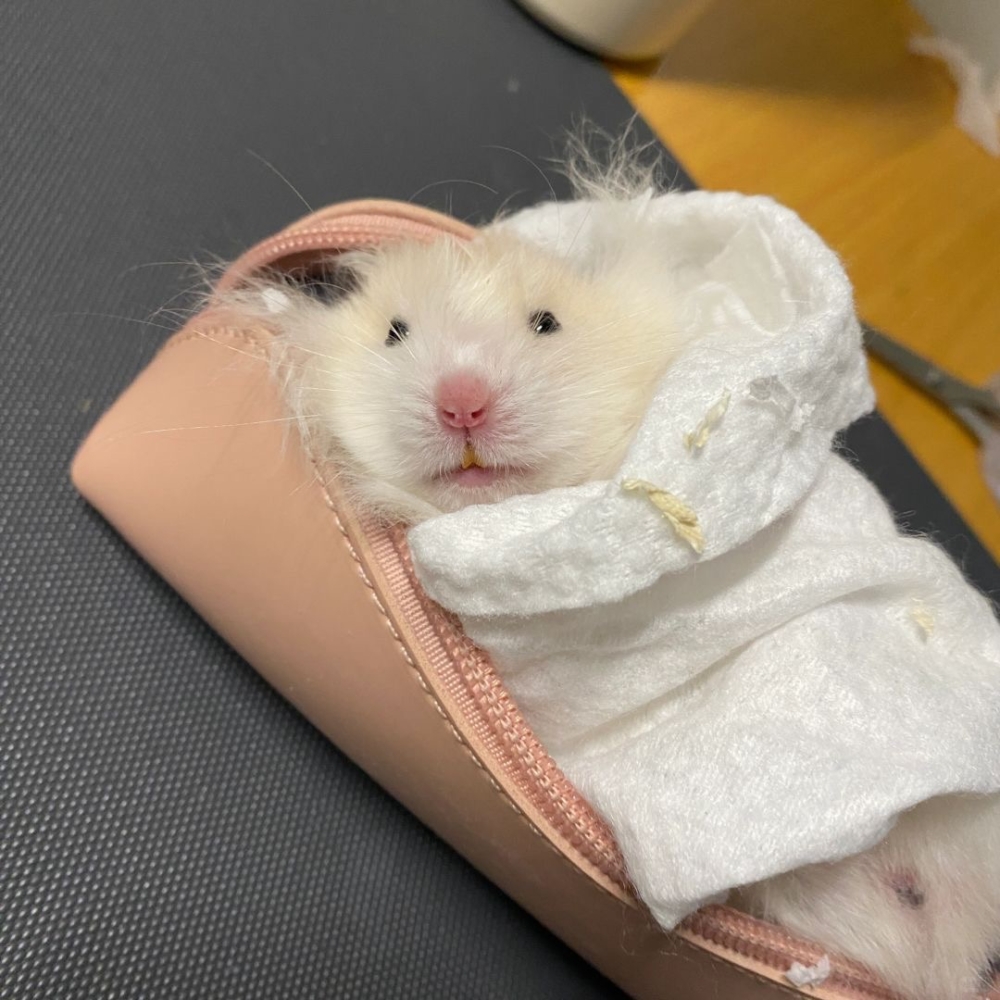 奴才：這是必須的啊