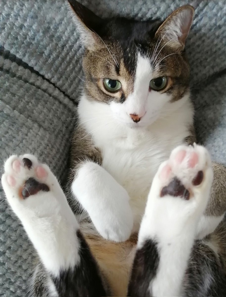 奴才：真的不能說嗎