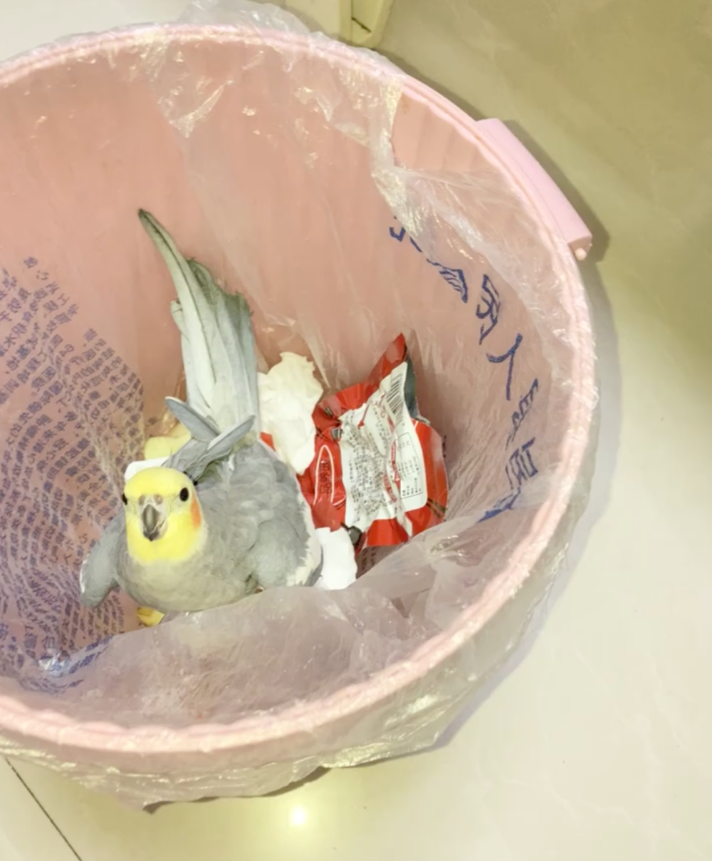 奴才：真的注意欸