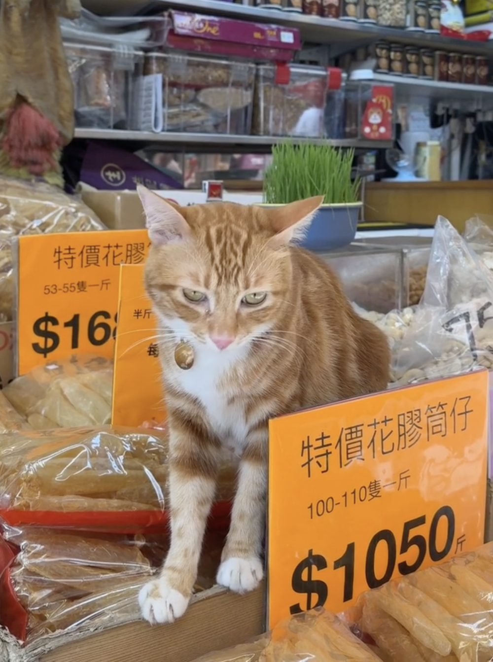 客人：你真會做生意啊