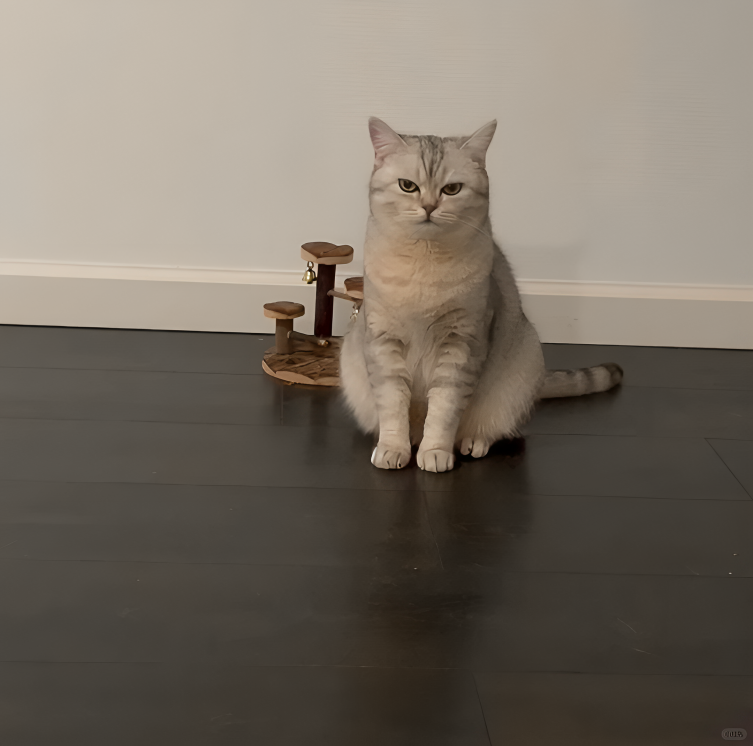 奴才：馬上下單一個新的了