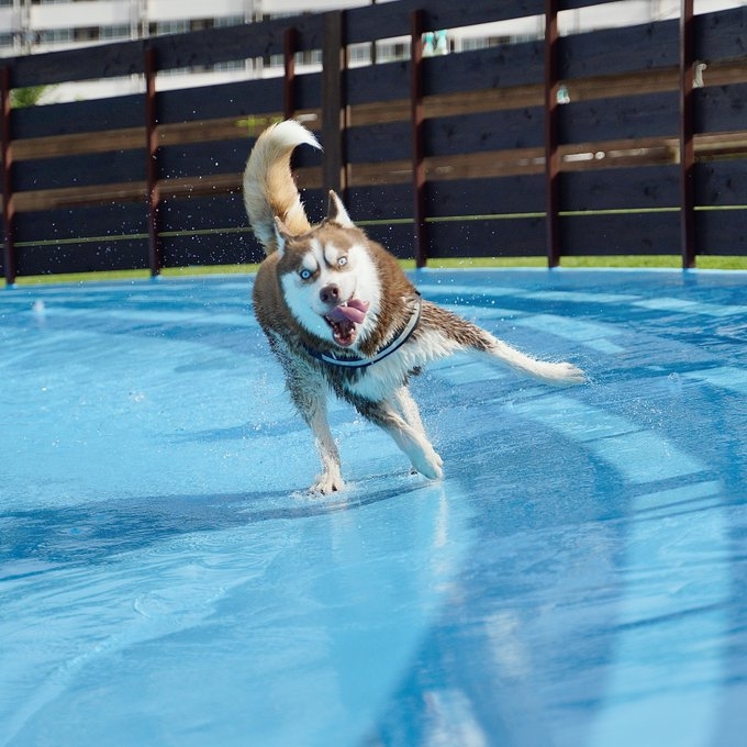 奴才：你還真是完全做自己啊