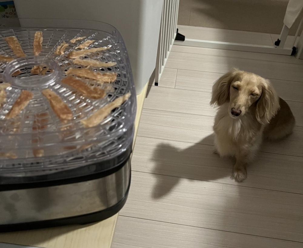 奴才：你怎麼醒了