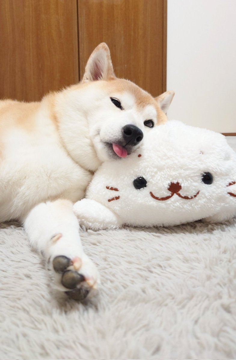 奴才：真的嗎（懷疑奴才：有了新歡往例舊愛嗎？