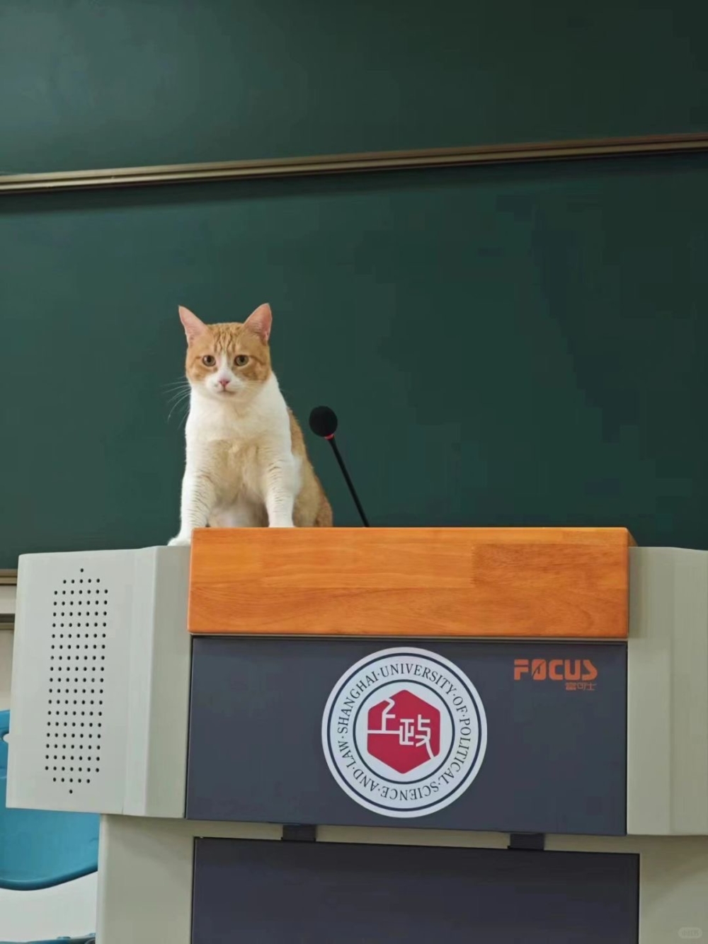 學生:教授體力不行啊