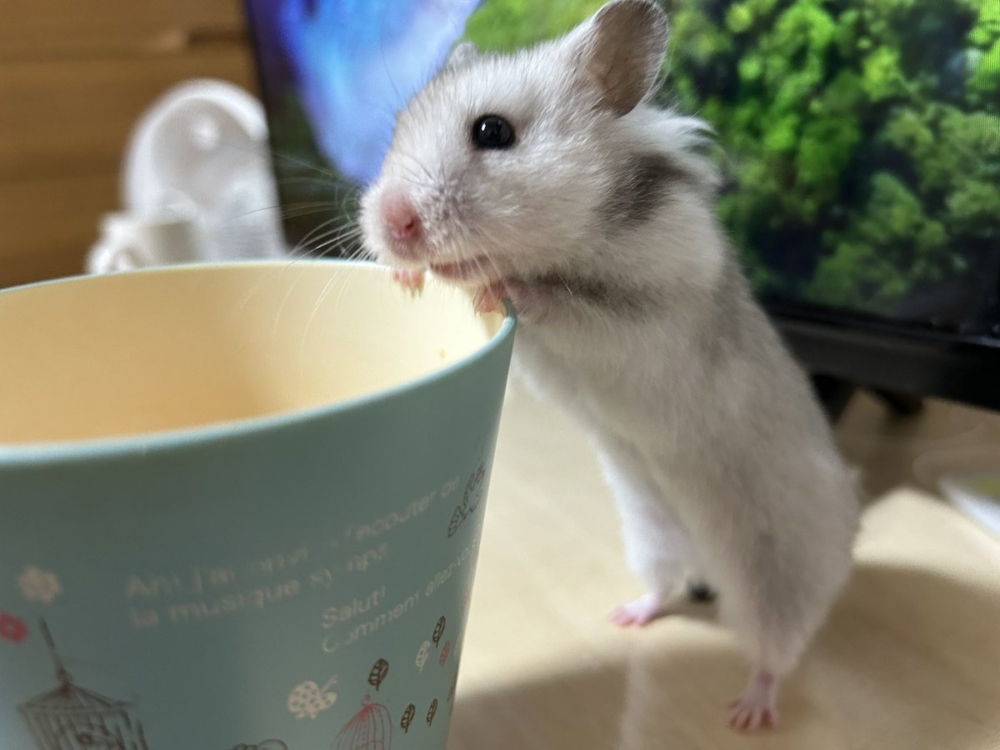 奴才：別太激動啦