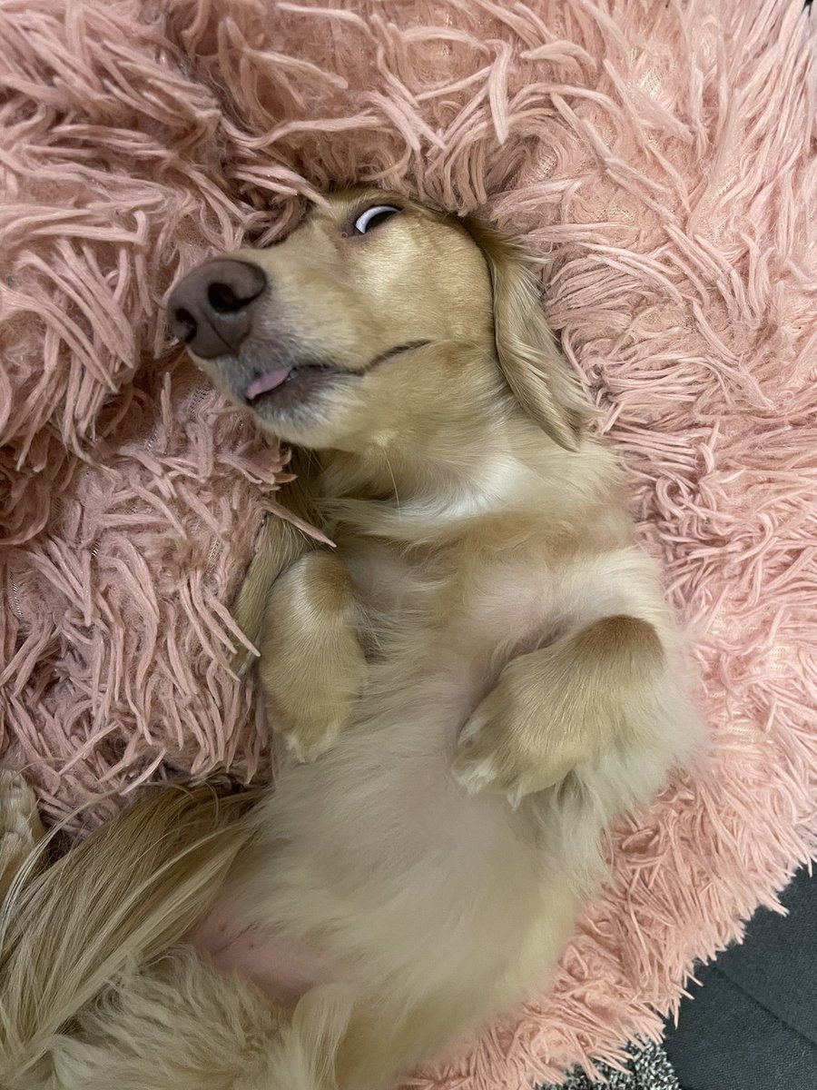 奴才：這個還沒有製作好啦