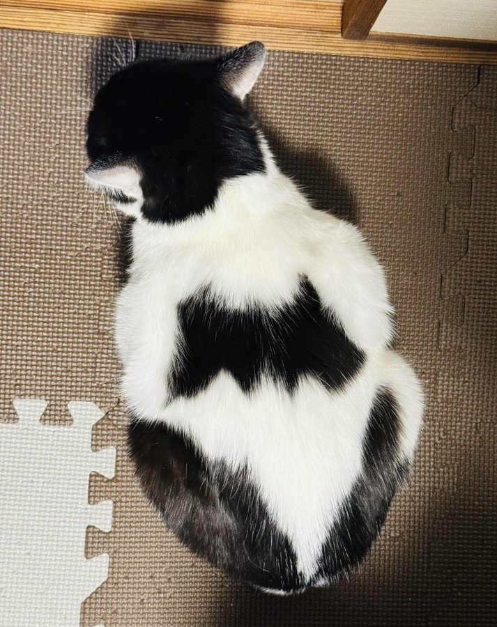 奴才：連我也不行嗎？