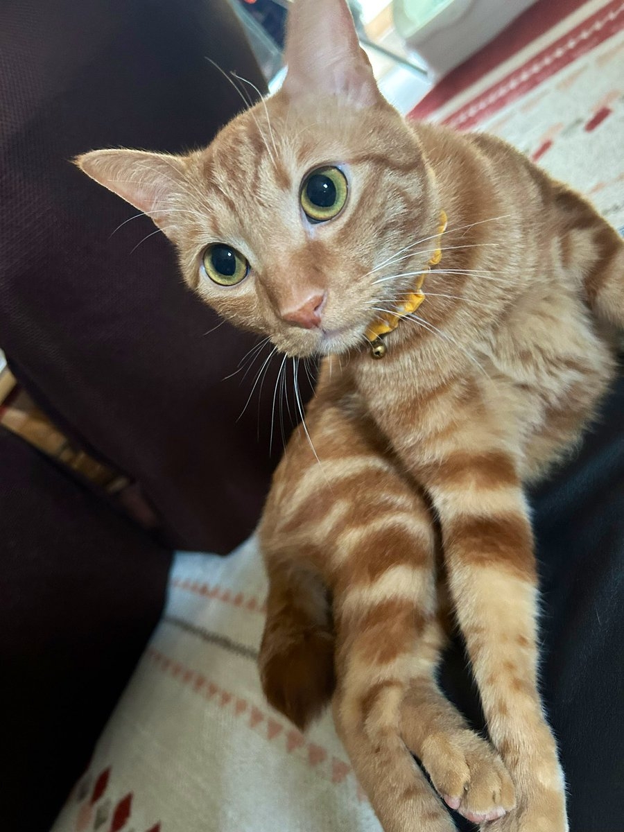 奴才：注意安全啊