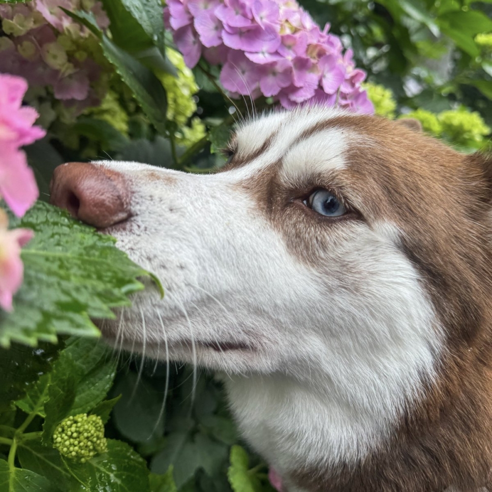 奴才：那就玩得開心點吧