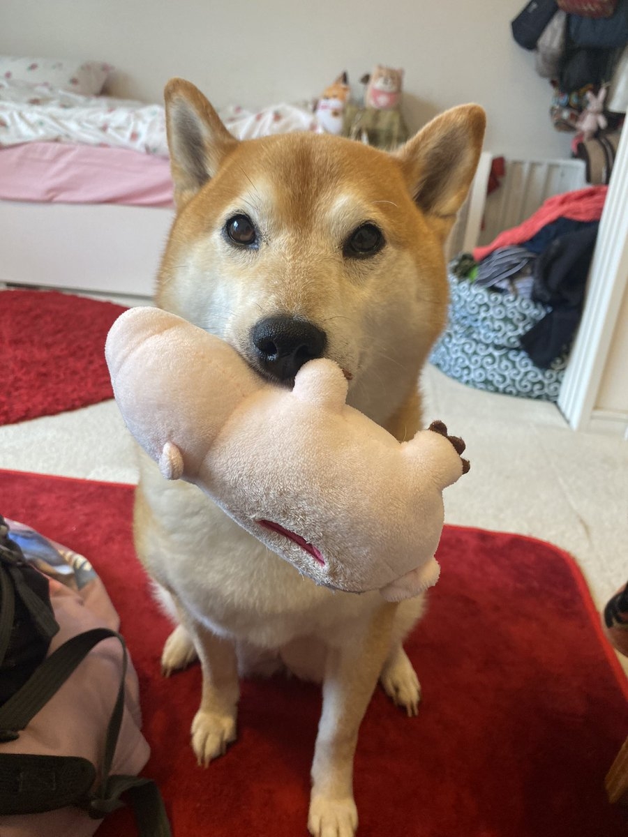 奴才：為你感到自豪