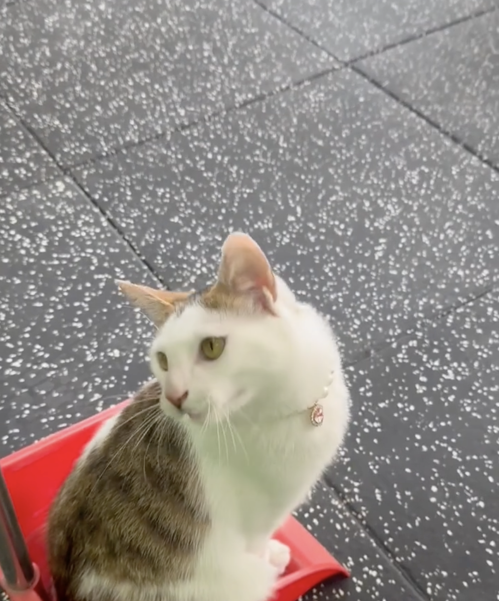 奴才：那就快走吧