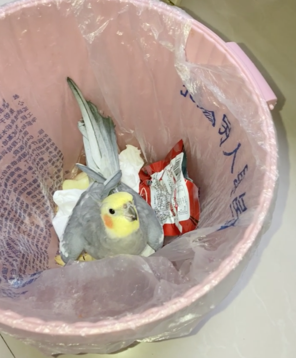 奴才：好吧～我知錯了