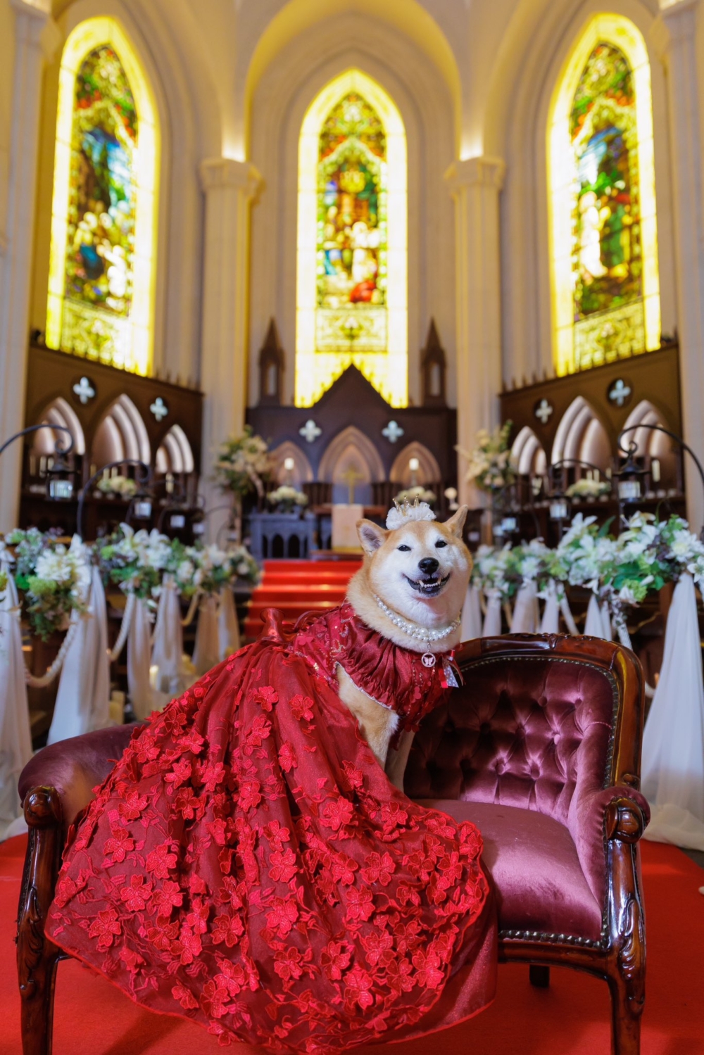 奴才：狀態非常棒喔