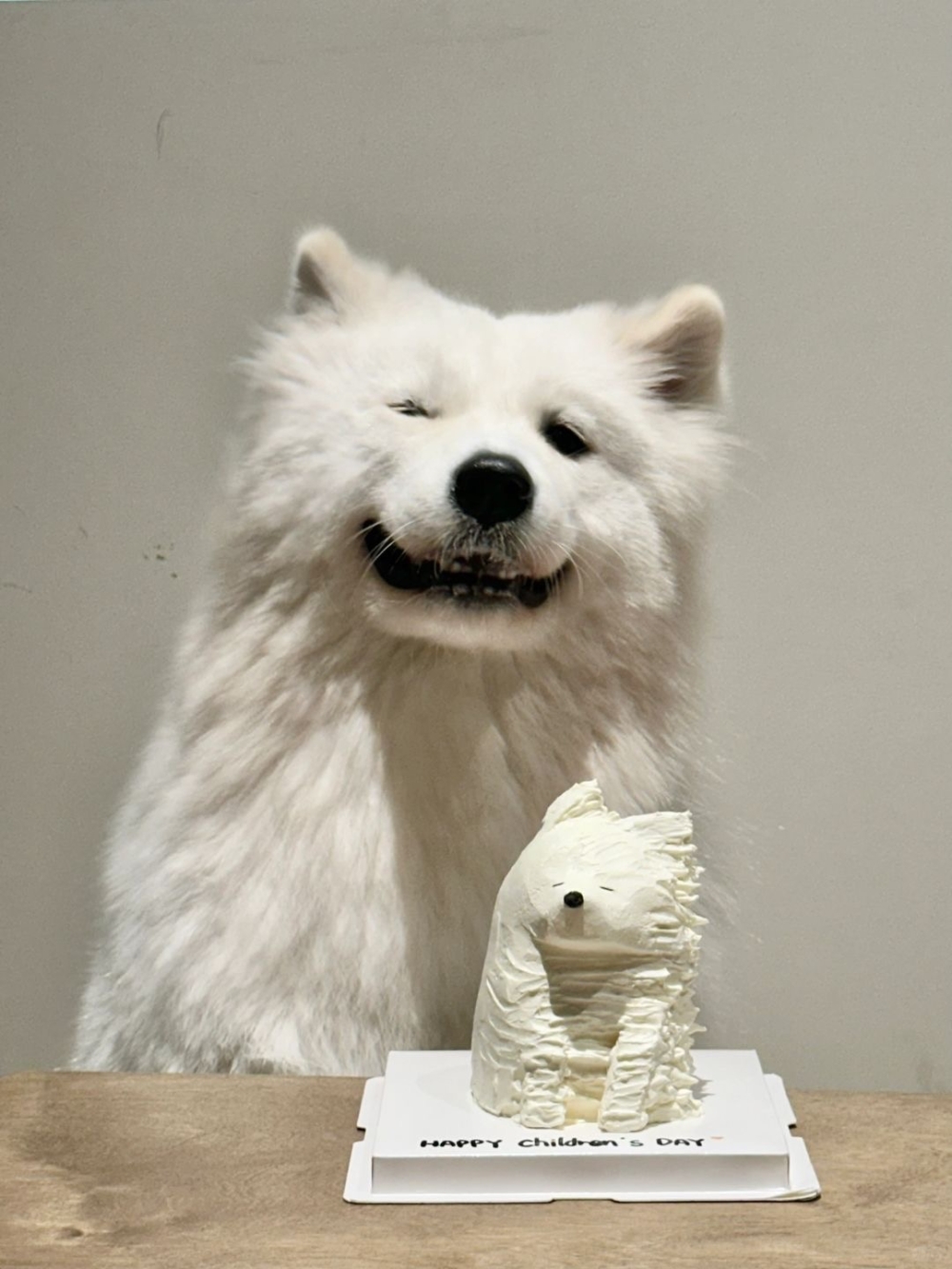 奴才：就知道你會喜歡