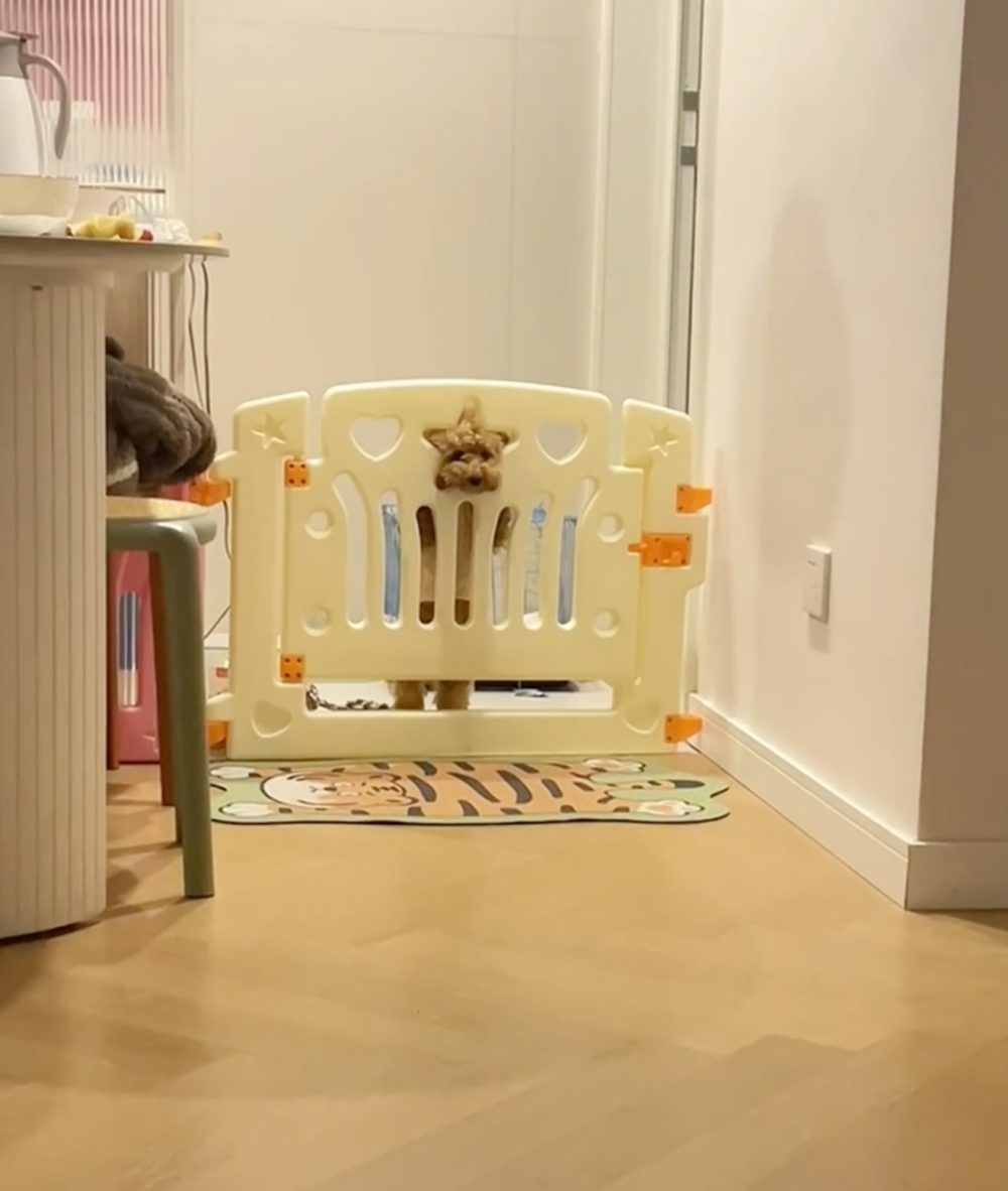 奴才：我忙完就放你出來了