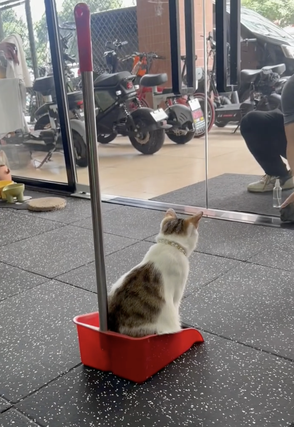 奴才：那就應該選個乾淨的地方啊