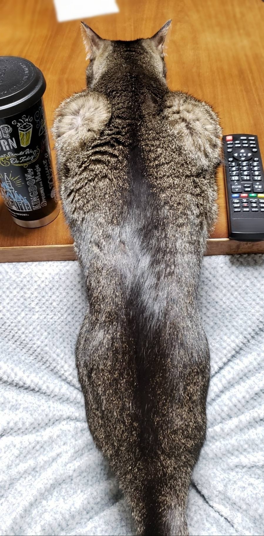 奴才：你什麼時候偷偷鍛鍊了？