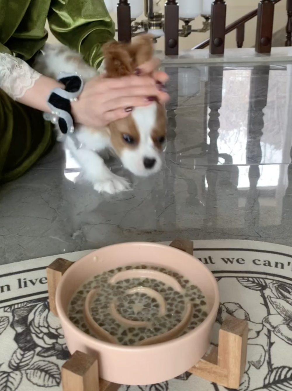 奴才：等一下不會餓死噠