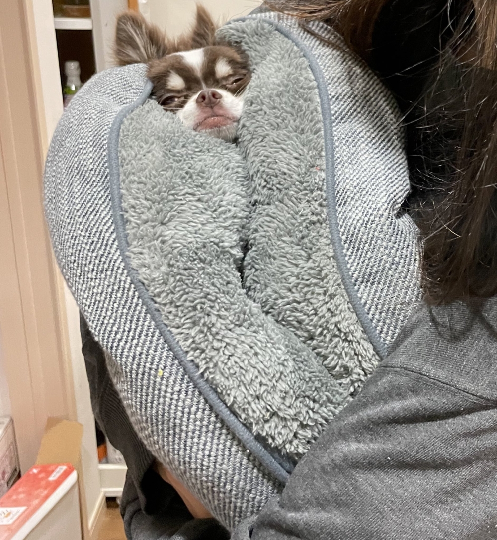 奴才：你別太興奮啦