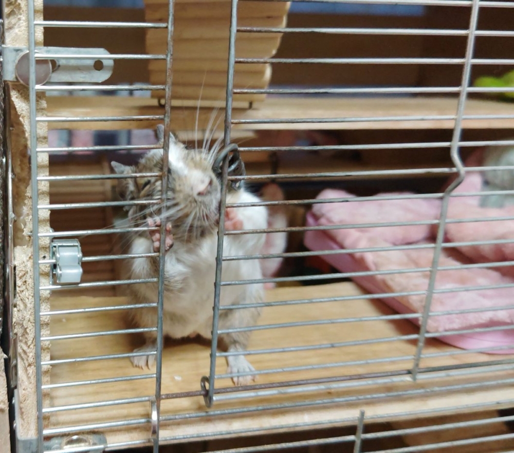 奴才：你就那麼不想見到我？