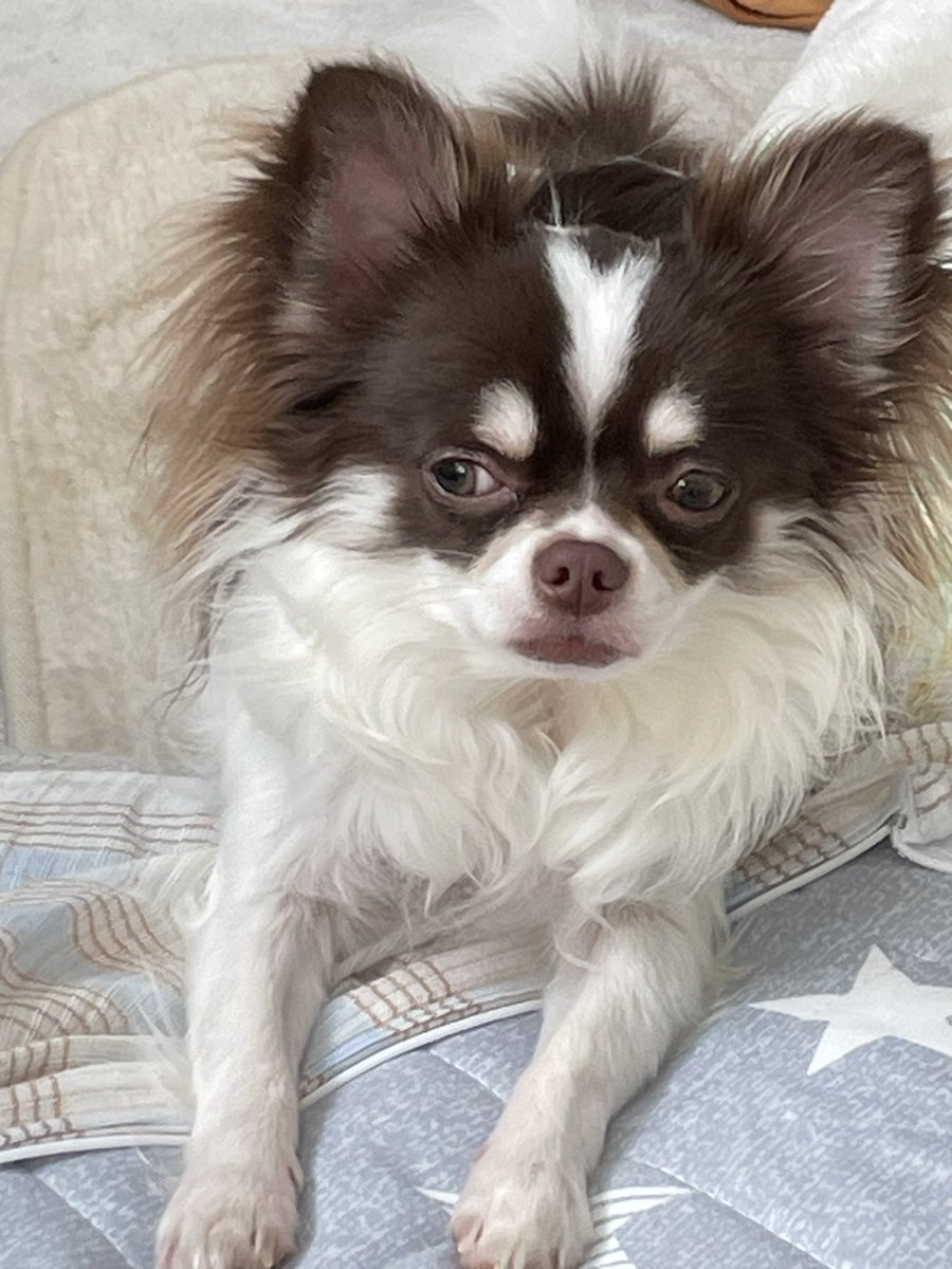 奴才：你可以睡醒再玩啊