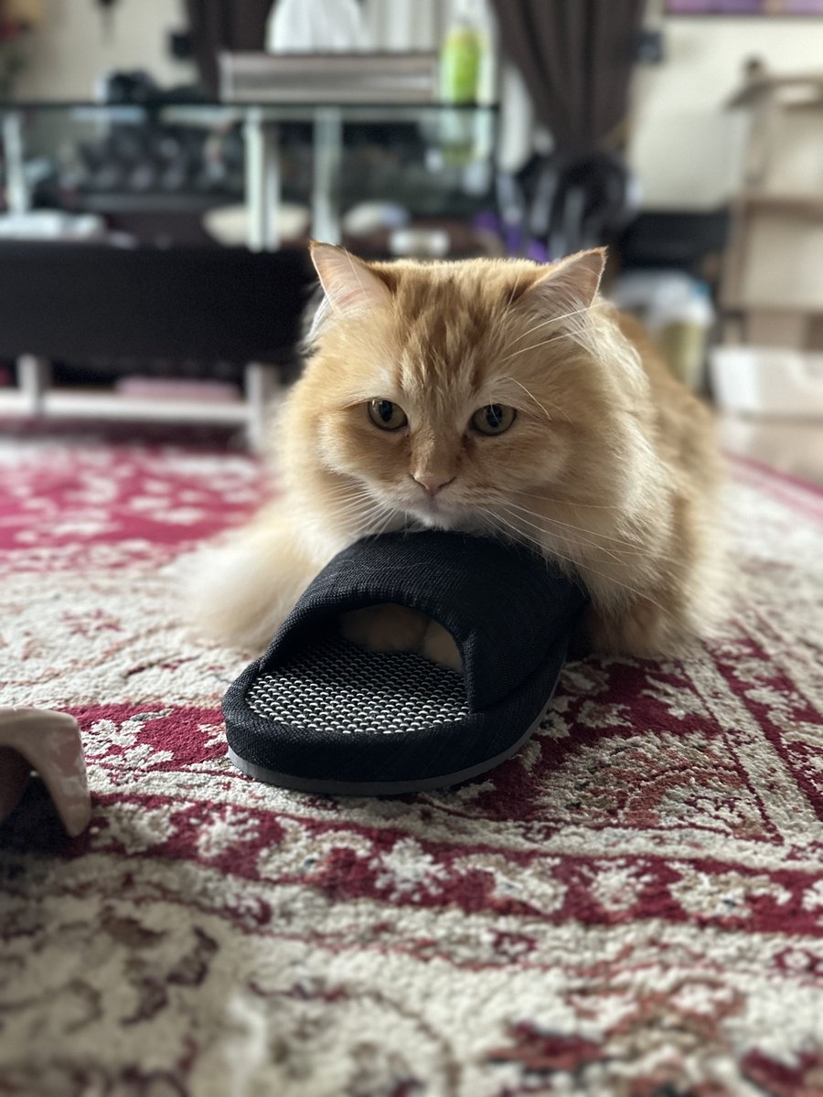 奴才：你嚇誰呢