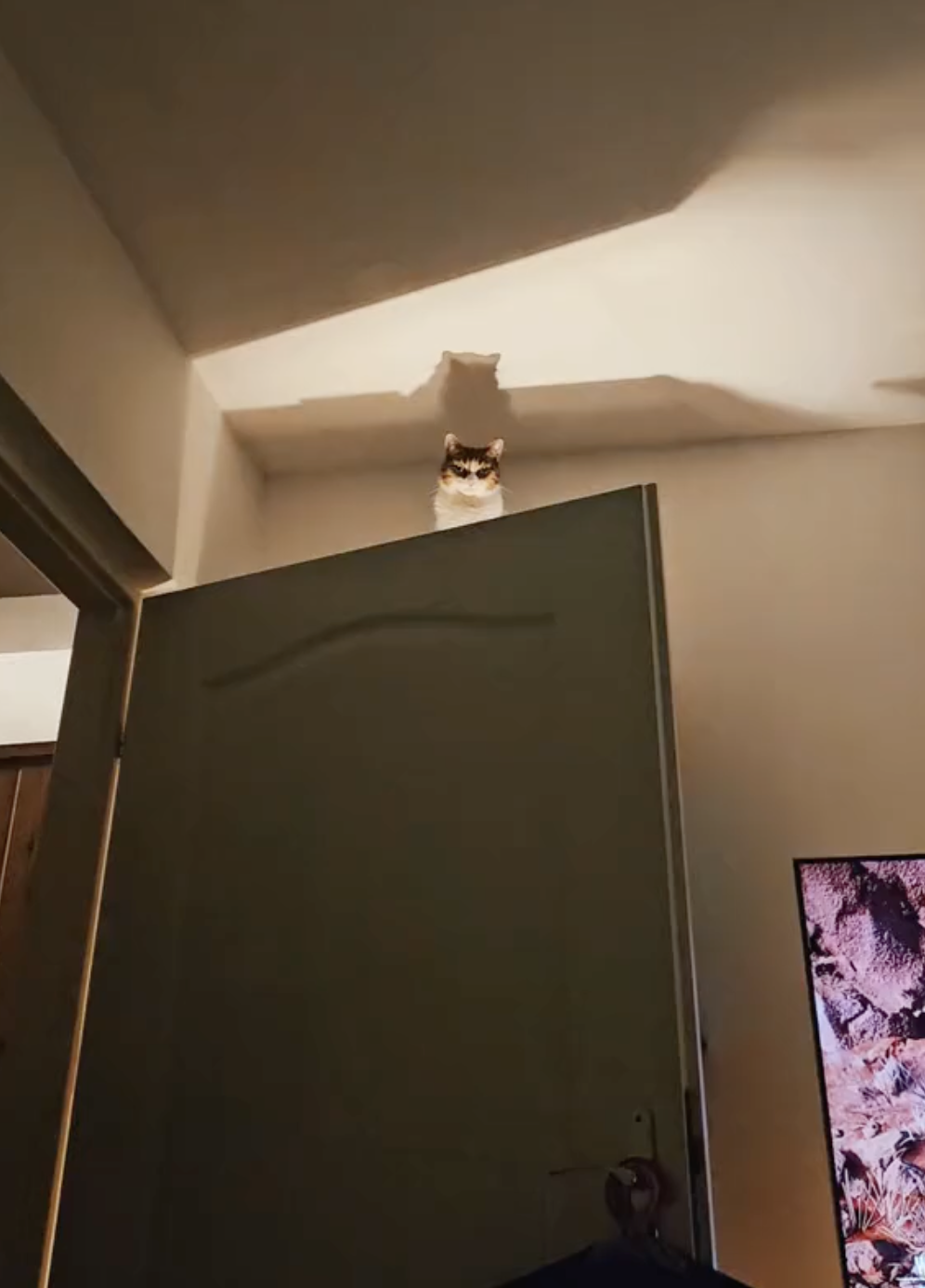 奴才：太恐怖了