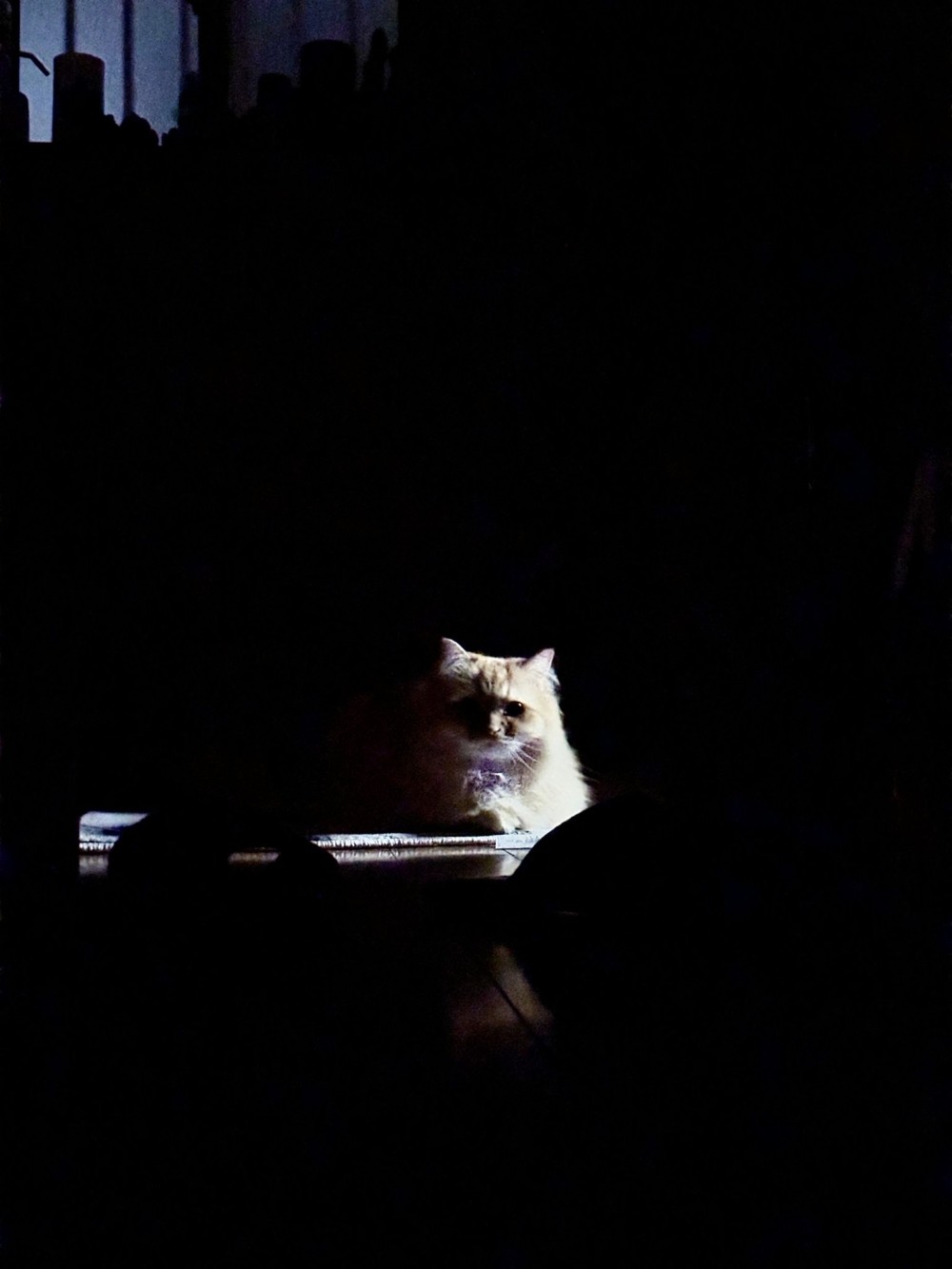 奴才：啊啊啊啊啊啊！！！！