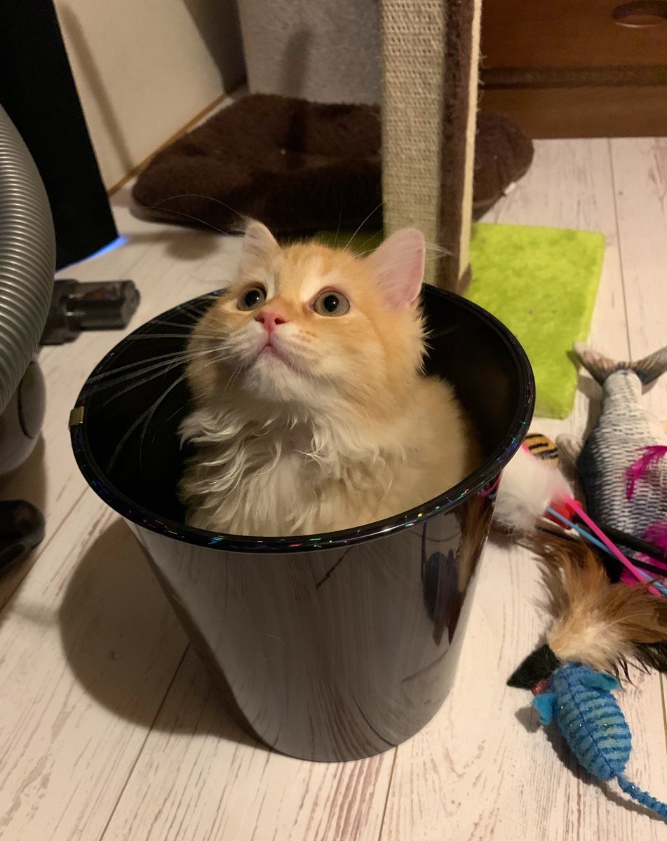 奴才：太恐怖了